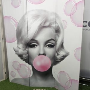 ширма перегородка